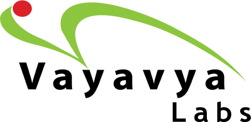 Vayavya Labs