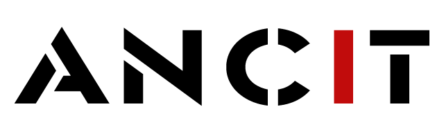 Ancit Consulting