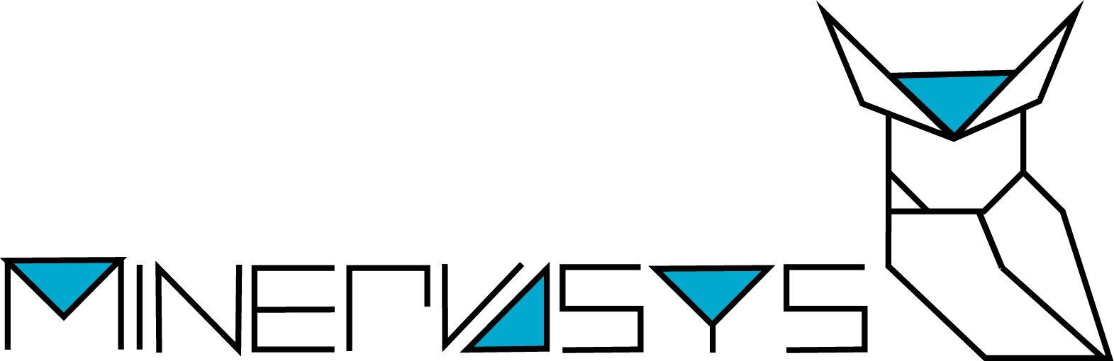 Minerva Systems